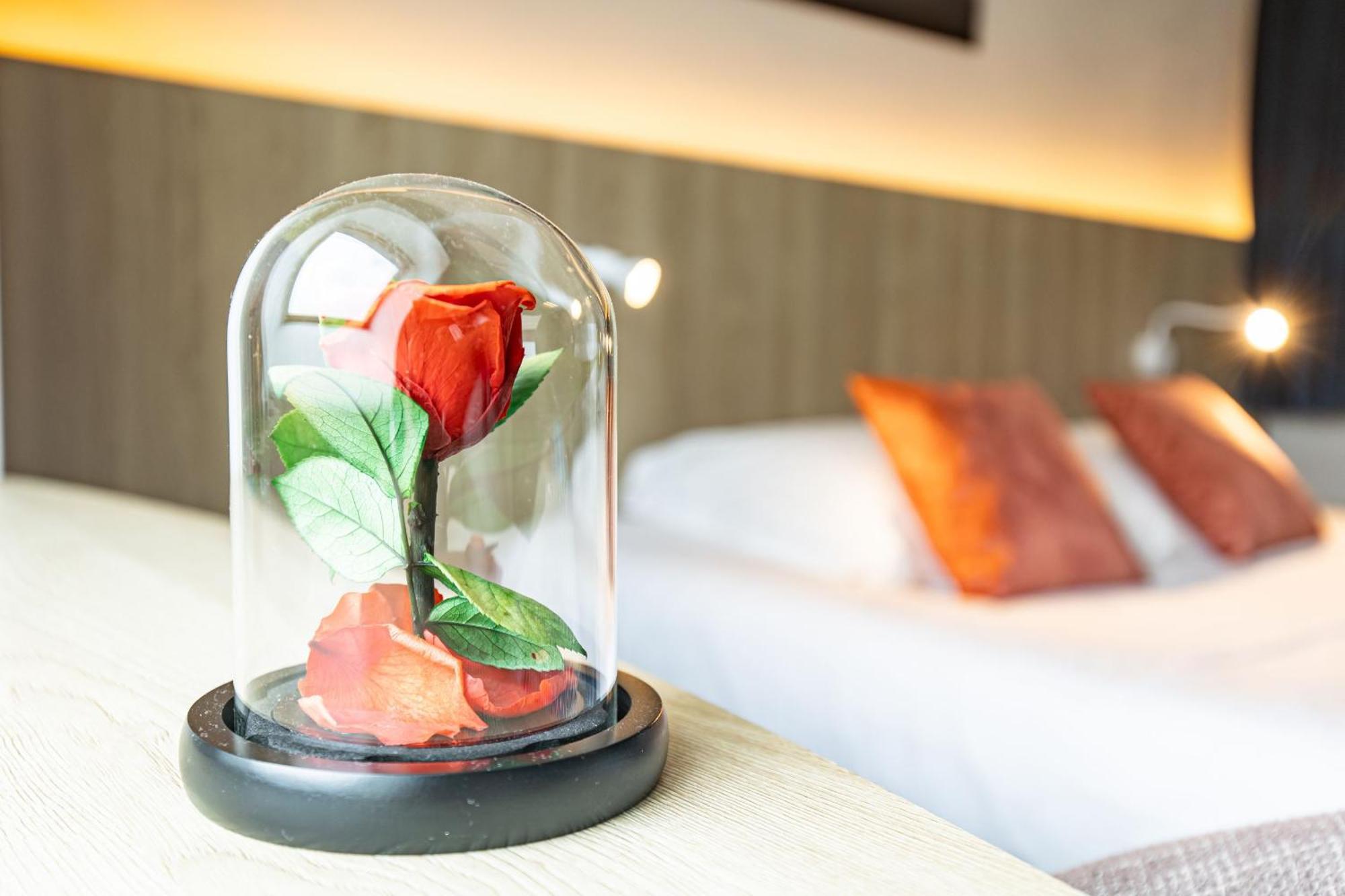 Hotel De France Camaret-sur-Mer Ngoại thất bức ảnh